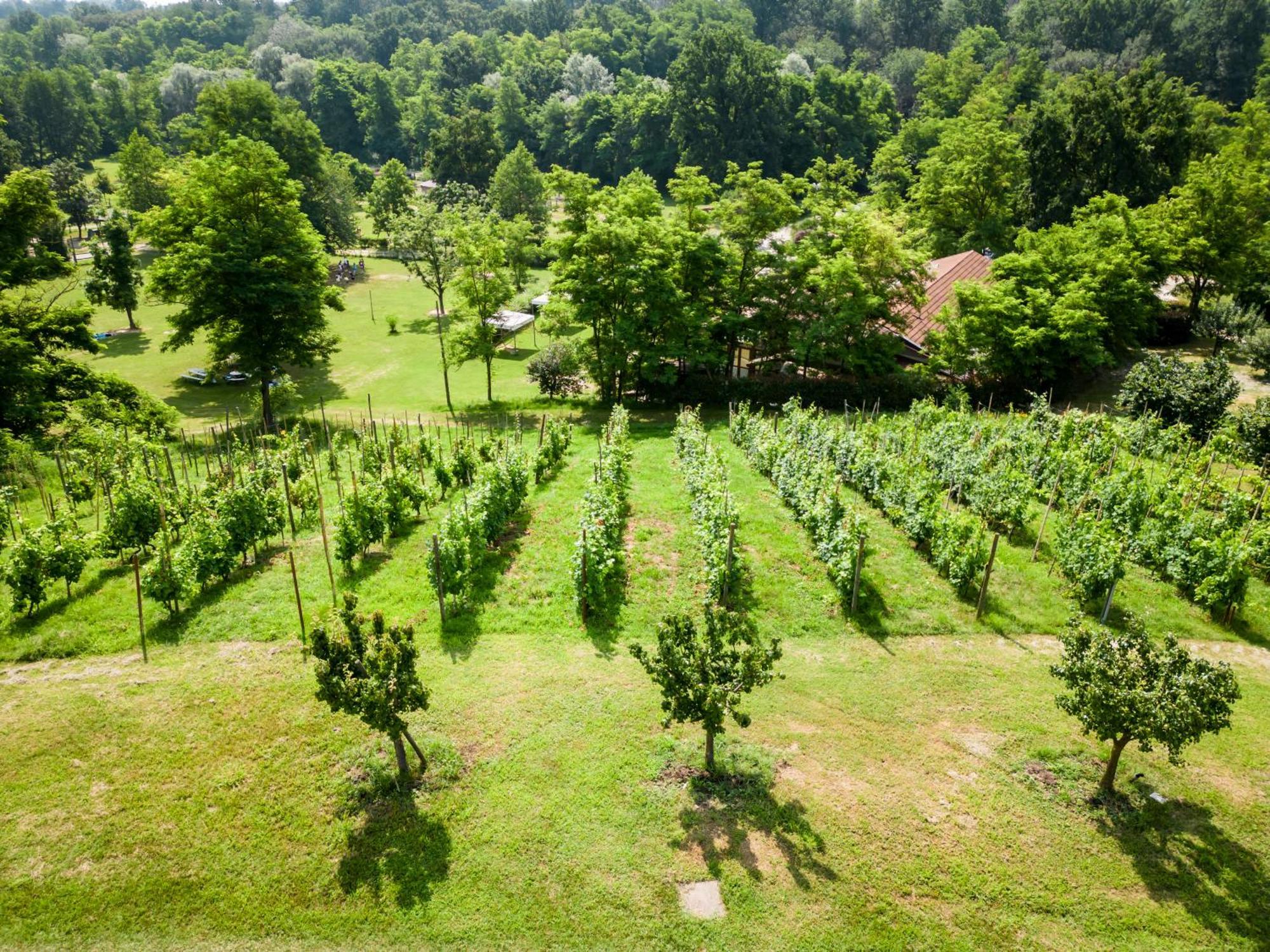 Agriturismo Parco Campofelice Bed & Breakfast Lombardore Exterior photo