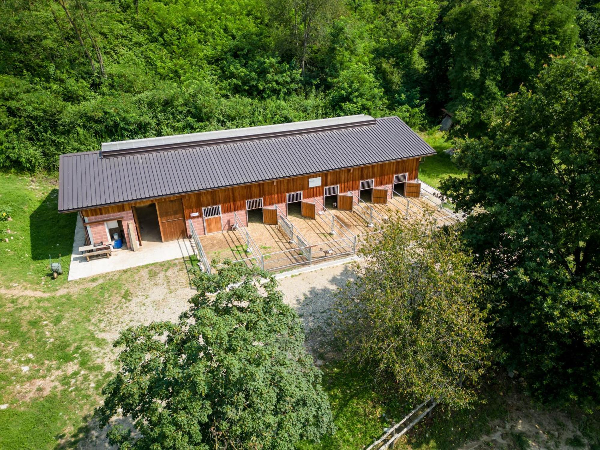 Agriturismo Parco Campofelice Bed & Breakfast Lombardore Exterior photo